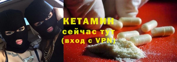 индика Горняк