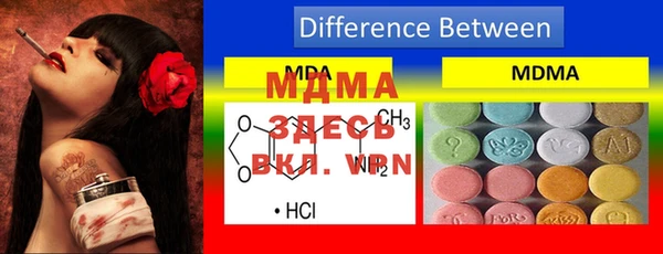 индика Горняк