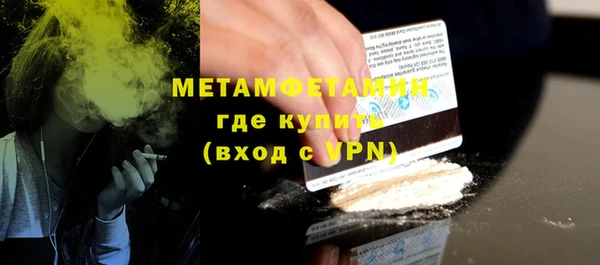 индика Горняк