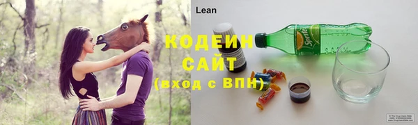 индика Горняк