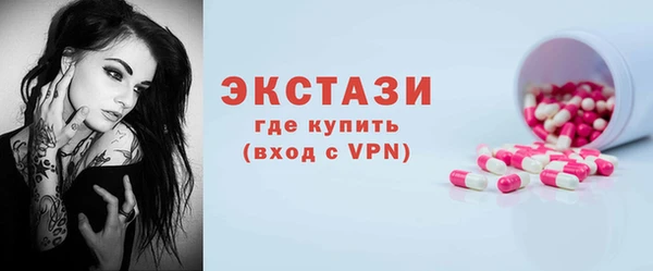 индика Горняк