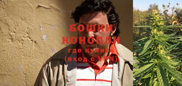 индика Горняк