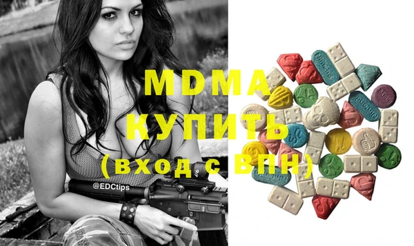 индика Горняк