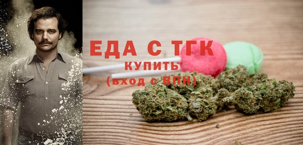 индика Горняк
