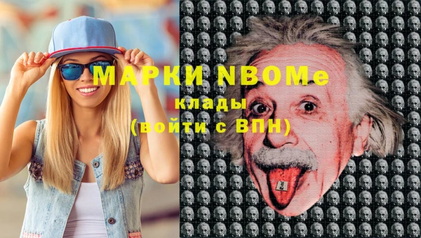 индика Горняк