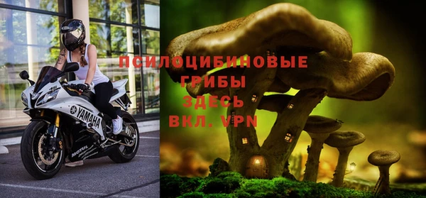 ALPHA-PVP Горно-Алтайск