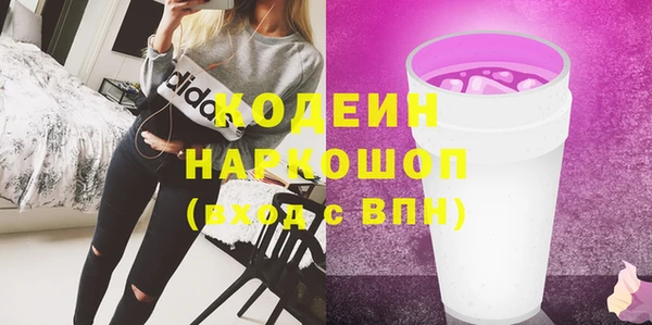 индика Горняк