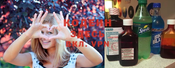 индика Горняк