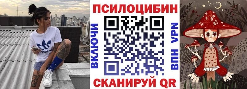 OMG зеркало  Зверево  Псилоцибиновые грибы GOLDEN TEACHER 